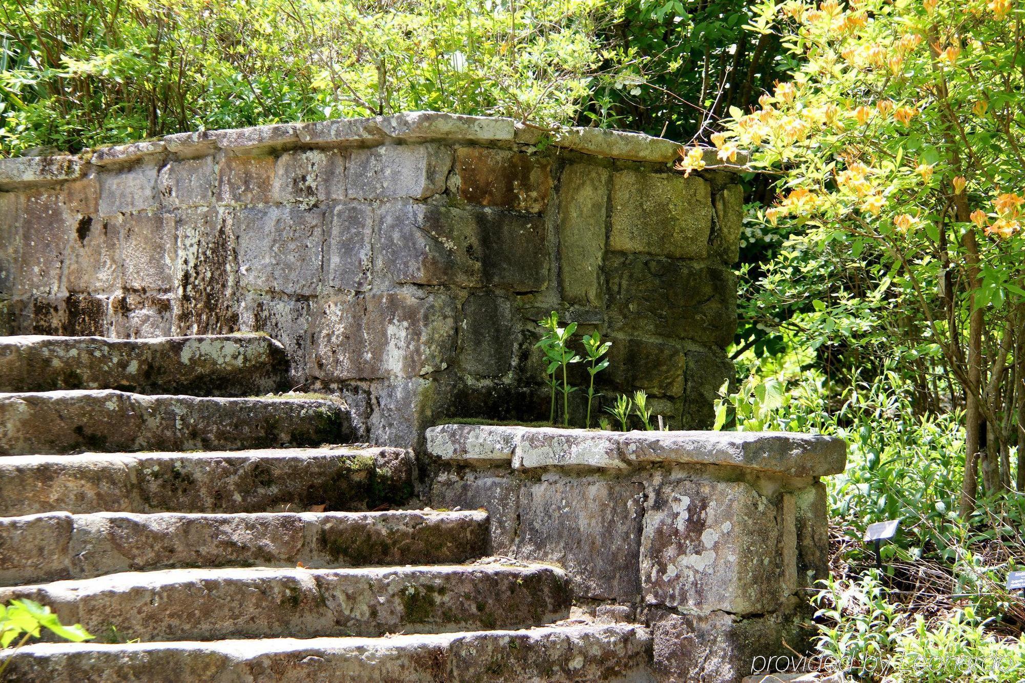 Old Edwards Inn And Spa Highlands Dış mekan fotoğraf